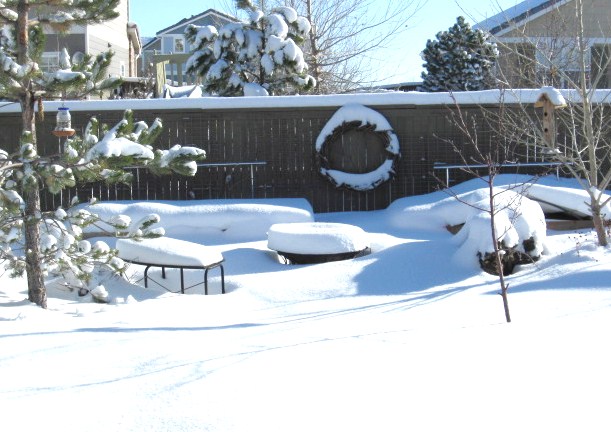 Christmas Day in the "Back Forty"