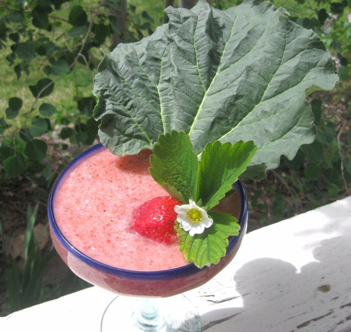 Strawberry Rhubarb Smoothie