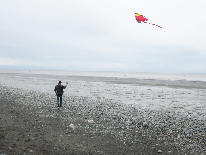 COOK INLET - KENAI. ALASKA
