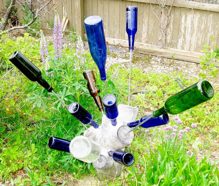 Budding Bottle Tree